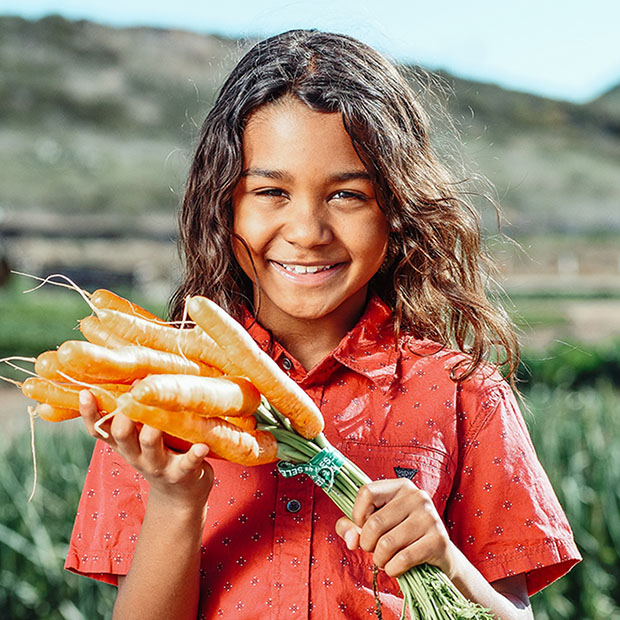 What You Eat Can Help Your Eyes Laramie WY Albany Eye Care